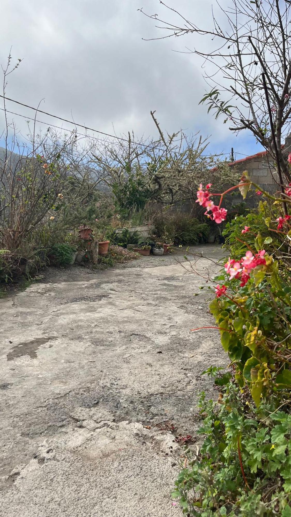 Shiva Kali Temple Pansiyon Agulo Dış mekan fotoğraf